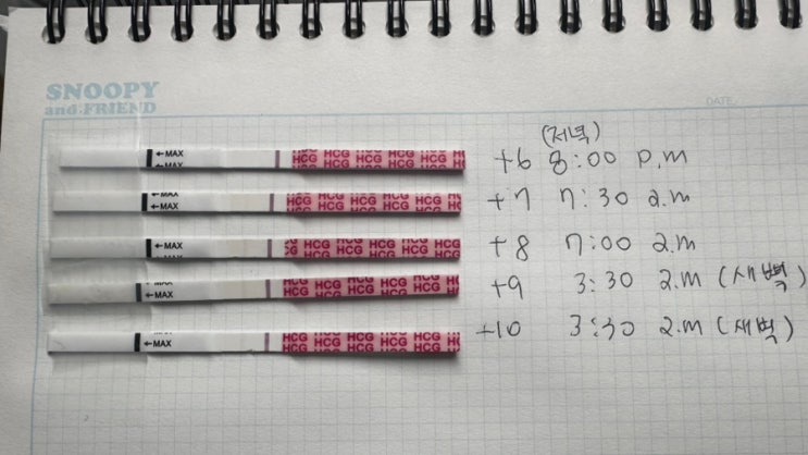  시험관 1차 이식 후 | 4일배양 | 6일차~ 10일차 증상 | 1차 피검사