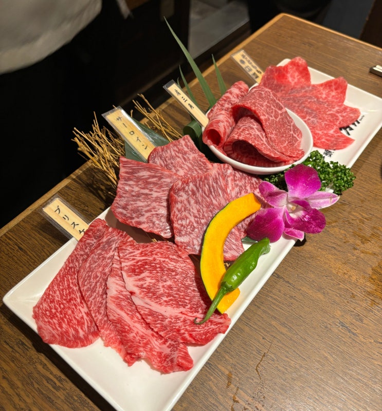  신주쿠 디스크 유니온 중고 LP구입, 닛포리 야키니쿠 맛집 보우야