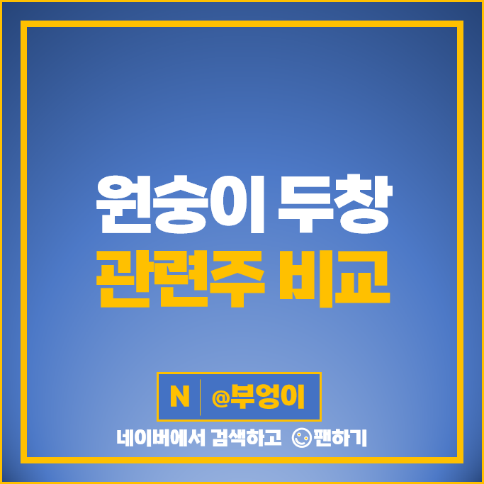 천연두 원숭이두창 관련주 현대바이오 바이오니아 주가 HK이노엔 녹십자엠에스 주식 천연두 원숭이두창 관련주 현대바이오 바이오니아 주가 HK이노엔 녹십자엠에스 주식