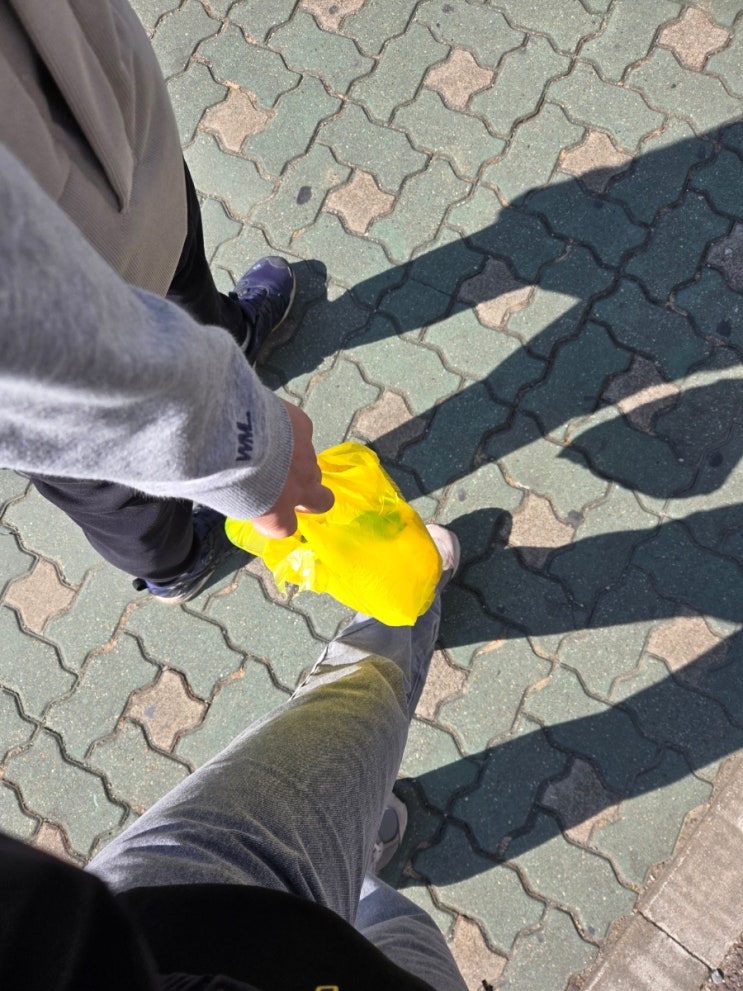  너무 신나서 쓰는 글️