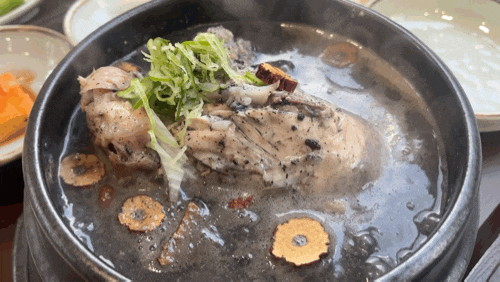  삼성역점심 보들보들 진한 정통흑마늘삼계탕 삼계옥