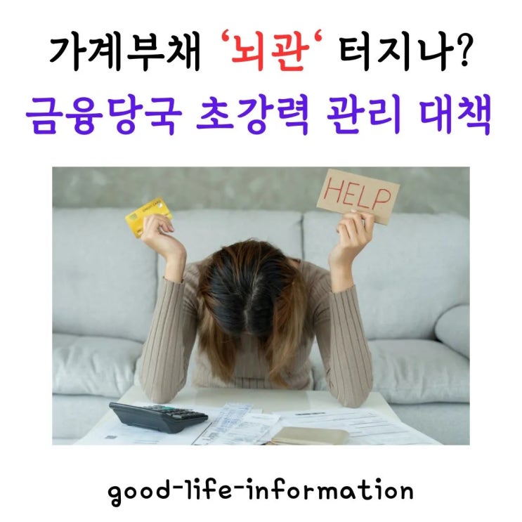 2025년 가계부채 '뇌관' 터지나? 금융당국 초강력 관리 대책 전격 해부! 2025년 가계부채 '뇌관' 터지나? 금융당국 초강력 관리 대책 전격 해부!