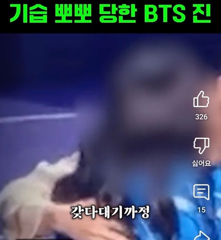 기습 입맞춤, 기습 뽀뽀당한<b>BTS진</b>(일본 여성팬 <b>성추행</b>)