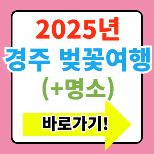  2025년 경주 벚꽃 개화시기 및 명소 추천(+봄 여행 계획하기)