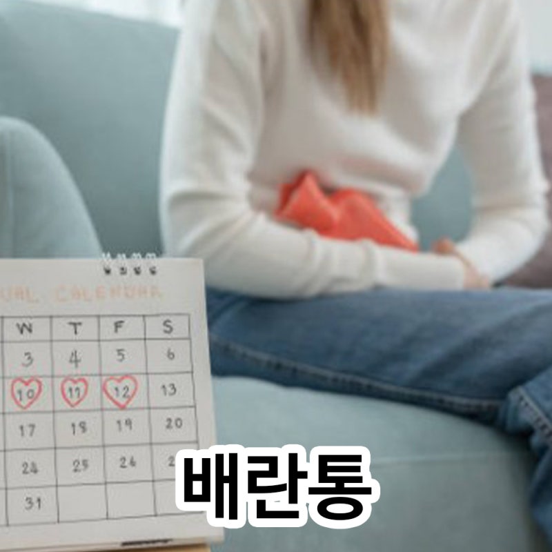 배란통 허리 위치 시기 증상 원인, 심할때 해결법