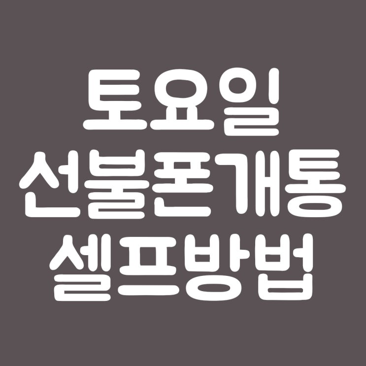  토요일 선불폰 개통 셀프로 하는 방법