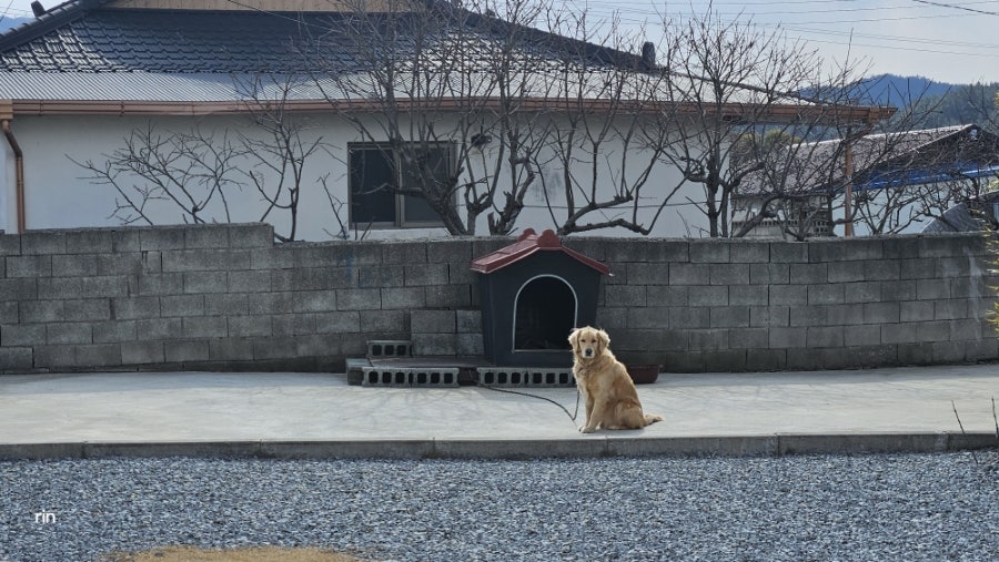 커피와공방 함박꽃 사진 4