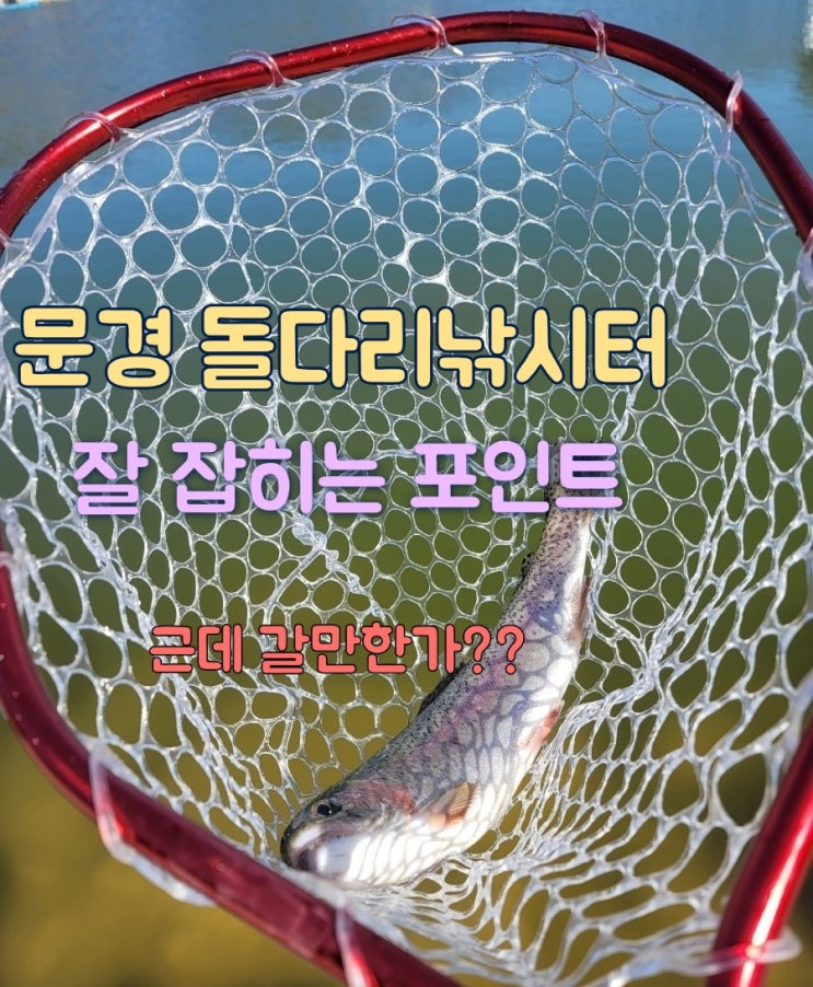  문경 돌다리낚시터 송어낚시 포인트 및 실후기 난 못가겠다