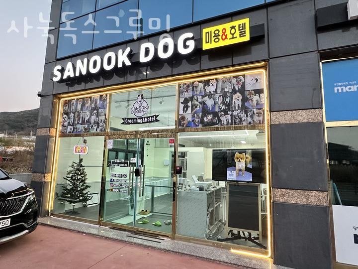 사눅독스그루밍