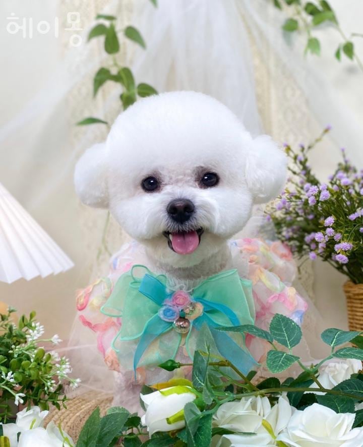 사진 4