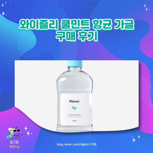  와이즐리 쿨민트 향균 가글 구매 후기