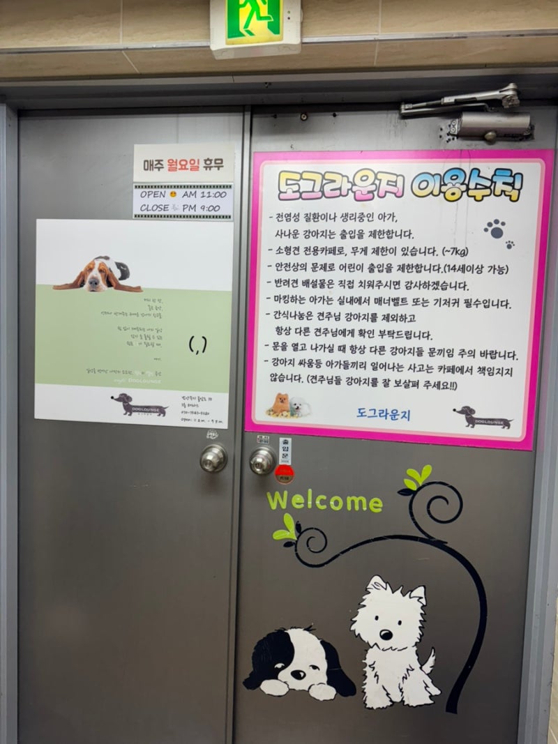 사진 2