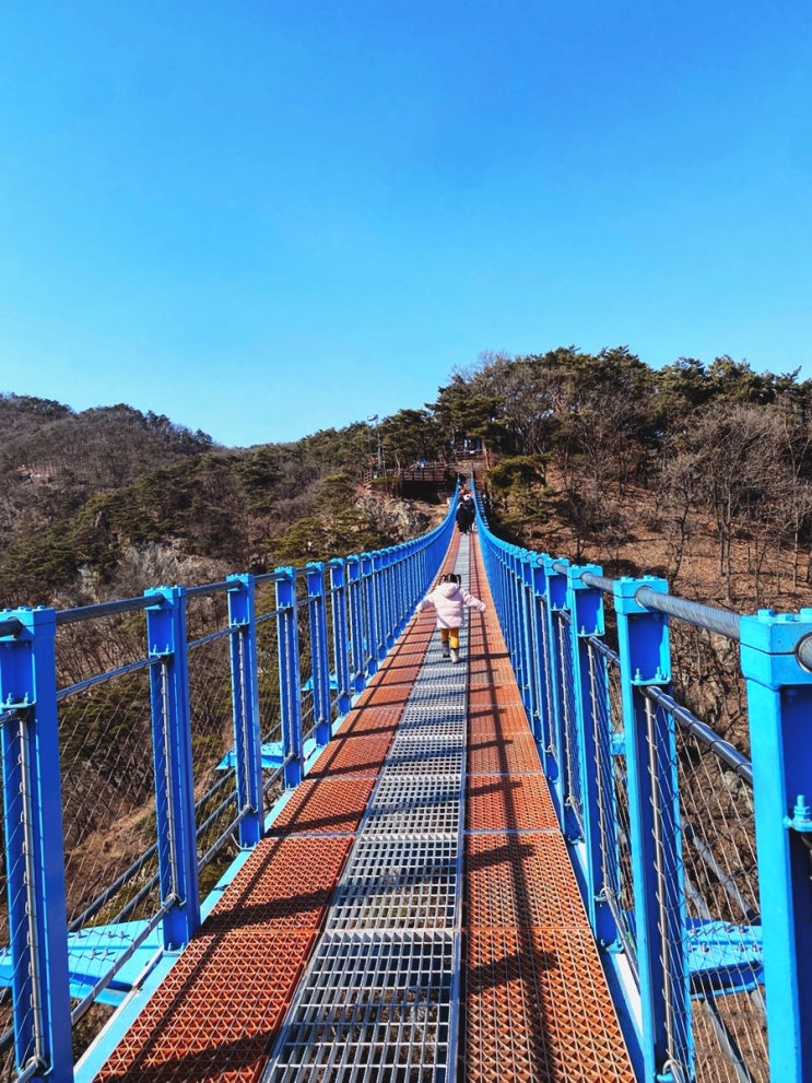  [강원] 원주 소금산 그랜드밸리 케이블카, 출렁다리, 울렁다리,소금잔도,스카이타워 통합권 후기