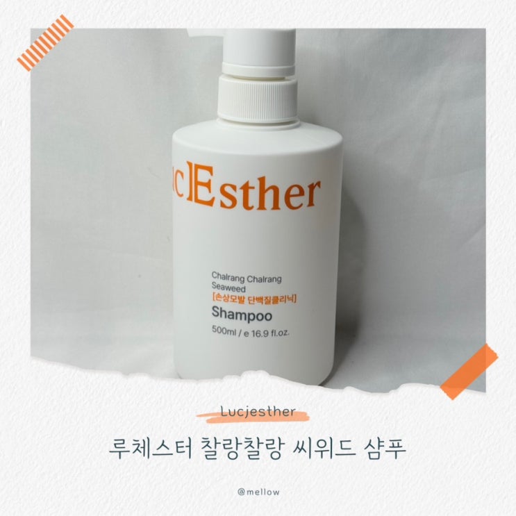  [두피케어샴푸 추천] 루체스터 찰랑찰랑 씨위드 샴푸