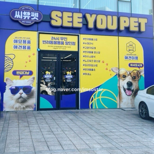 사진 3
