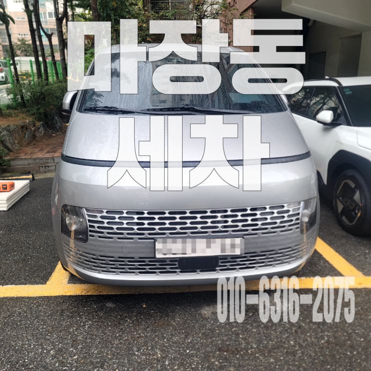 마장동세차 강아지똥 묻음 시트 탈거 부분 크리닝으로 해결