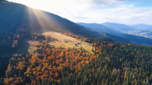  대구 성인심리상담센터 , 심리상담사 15일 만에 취득했던 후기 및 전망