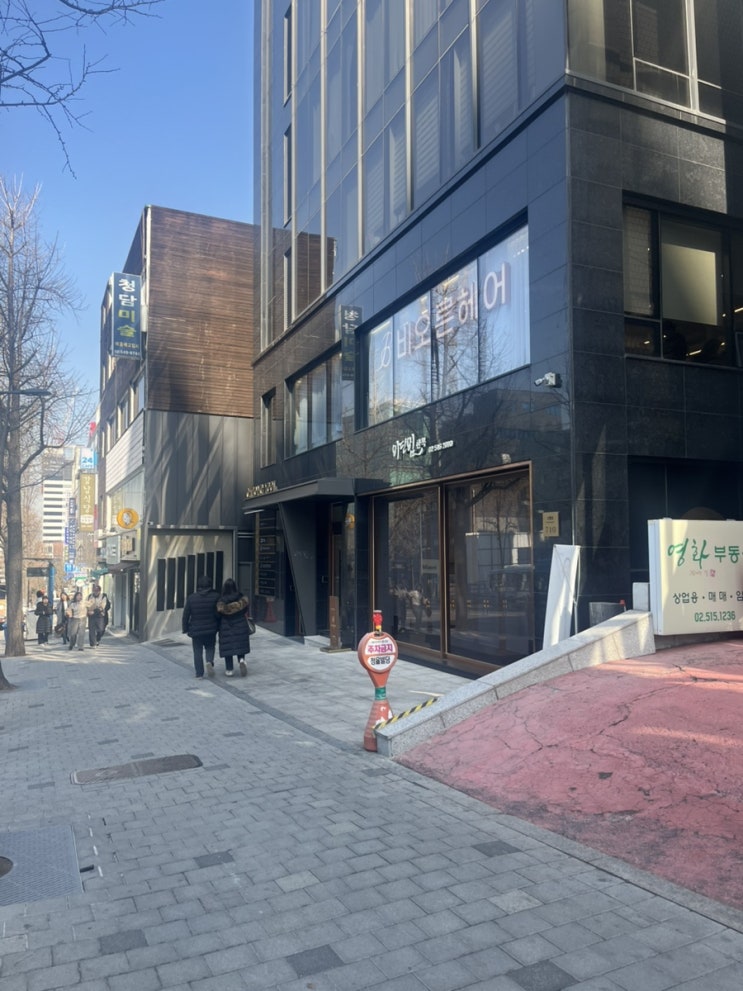  강남구청역 미용실 비오른헤어 청담점:) 장윤영 부원장님 클리닉&디자인커트