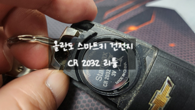  [제품 후기] 다이소 리튬 건전지 - 올란도 스마트키 배터리 교체 CR 2032