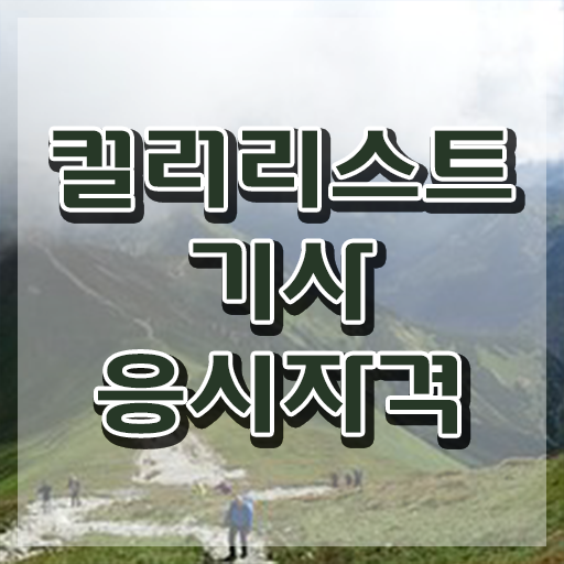  컬러리스트기사 비전공자 컬러리스트기사 취득자격 온라인 수업으로 쉽고 빠르게 완료한 방법