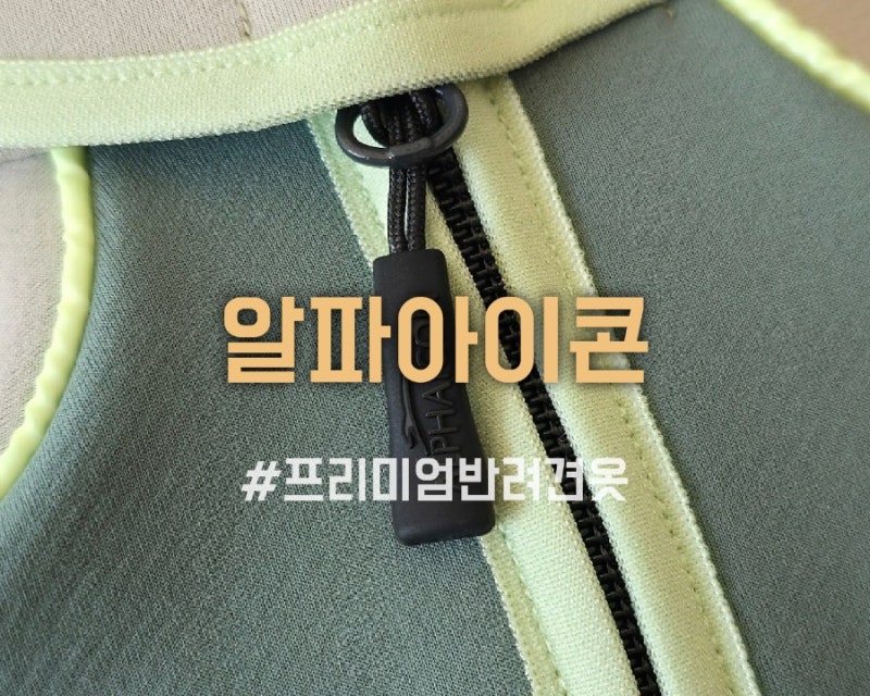 프리미엄 반려견 옷 알파아이콘 사이즈 및 일본 공홈 직구 방법