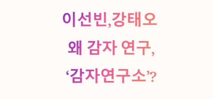 이선빈<b>강태오</b>의 ‘감자연구소’, 감자를 연구하는 진짜... 