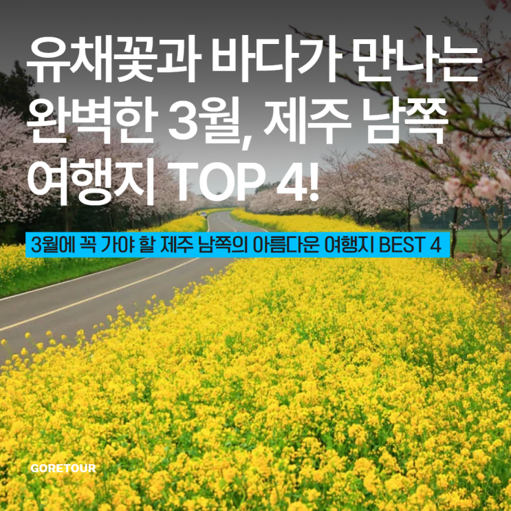  유채꽃과 바다가 만나는 완벽한 3월, 제주 남쪽 여행지 TOP 4!