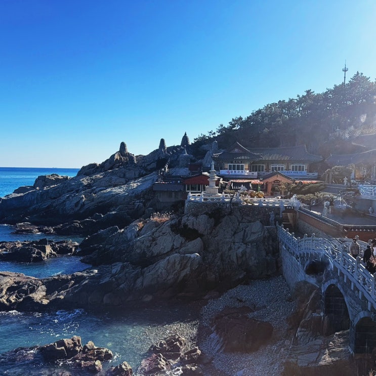  부산|기장 해변열차 송정역 근처 가볼만한 곳 해동 용궁사