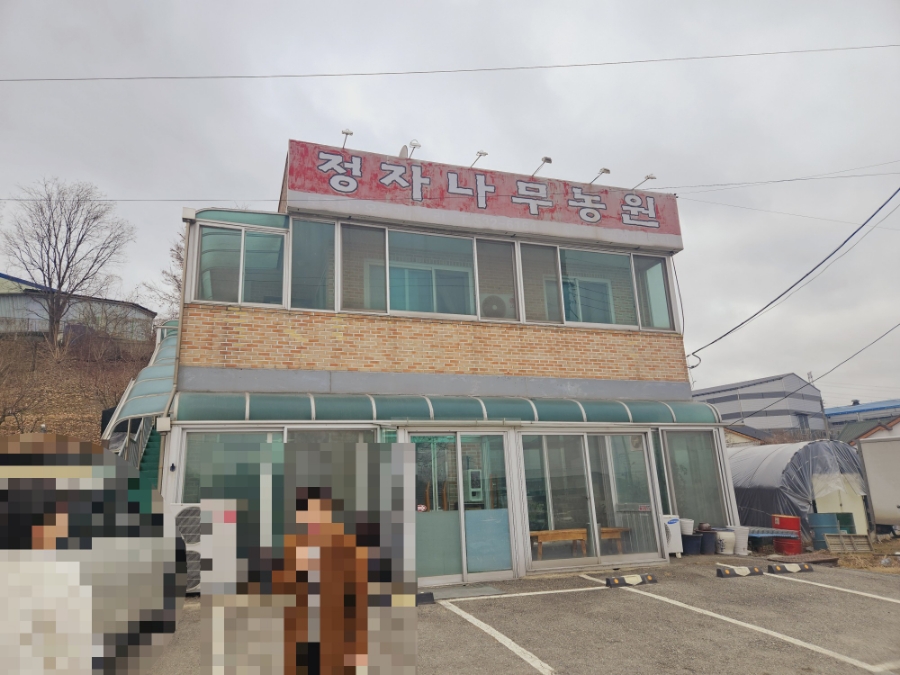 정자나무농원 사진 1