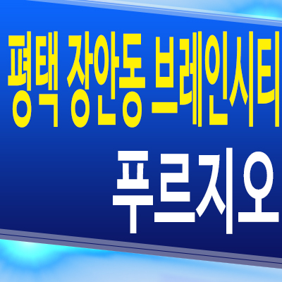  평택 장안동 브레인시티 푸르지오 미분양아파트 대우건설 신축 분양가계약조건 모델하우스