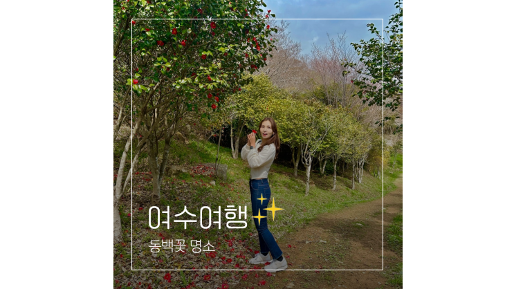 여수 동백꽃 명소 돌산공원 자산공원 해상케이블카 3월 가볼만한곳 여수 동백꽃 명소 돌산공원 자산공원 해상케이블카 3월 가볼만한곳