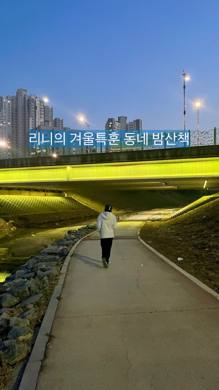 둥이1호 아빠와의 겨울특훈 동네 밤산책 Walking / 슬쌍디아빠 이동섭