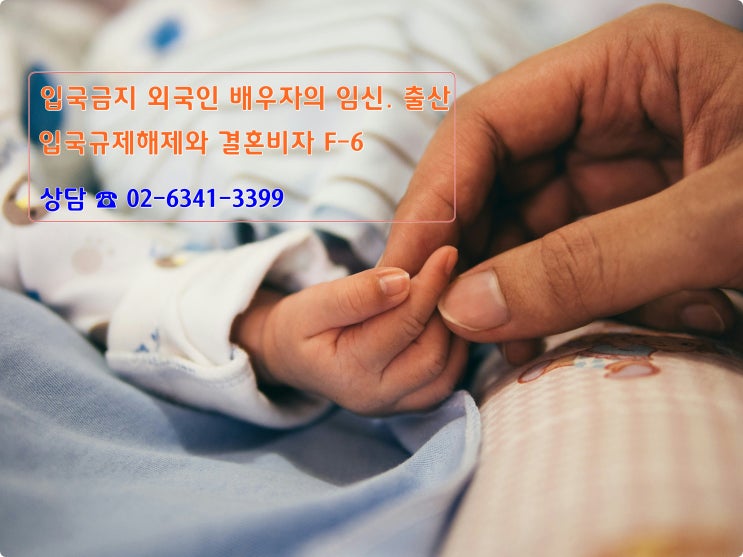  입국금지 외국인 배우자 임신. 출산으로도 결혼비자 F-6은 불허된다.