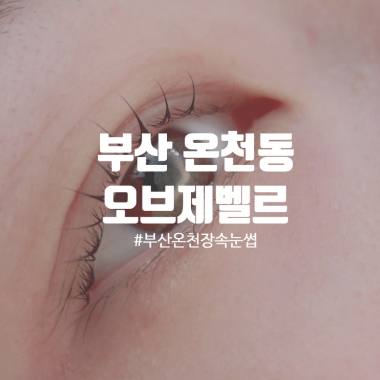  부산 온천장 속눈썹 펌 오브제벨르 시그니처 벨르펌 후기