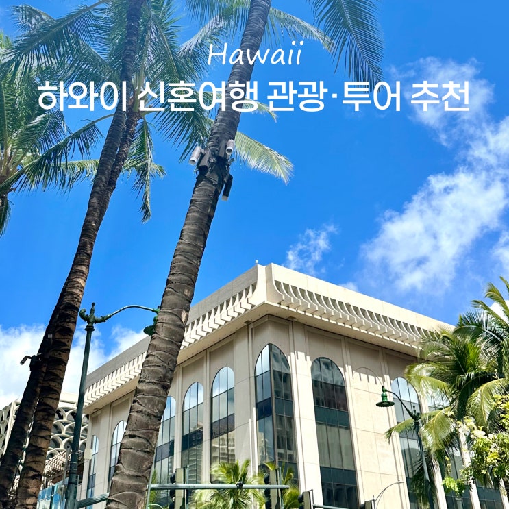  하와이 신혼여행 코스 경비 꼭 해볼만한 관광 투어 액티비티 추천