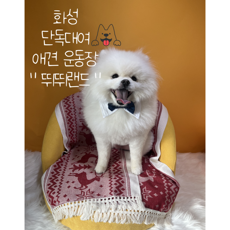 사진 3