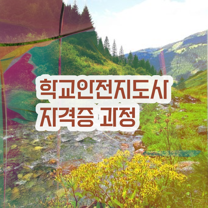  학교안전지도사 1급 , 자격증 취득한 정보