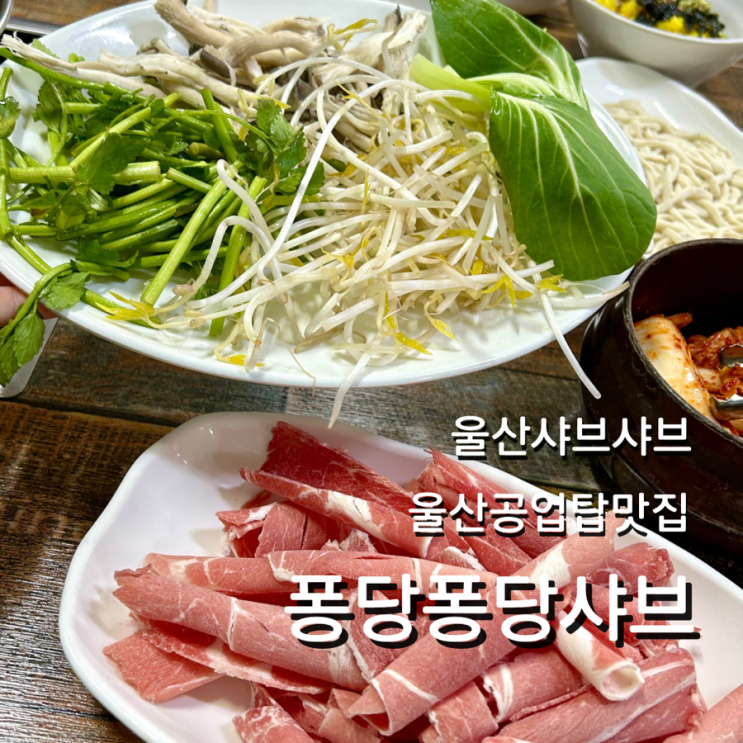  울산 신정동 맛집 퐁당퐁당 공업탑 샤브샤브 경상도 샤브칼국수 추천