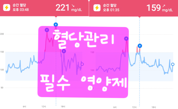  혈당 관리 필수 영양제 3가지 | 마그네슘, 베르베린, 바나바 효과 제대로 알기