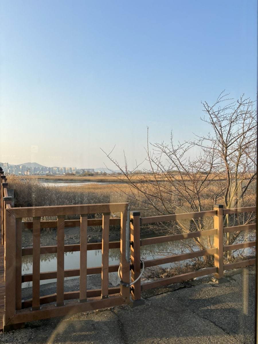 류참치 사진 3
