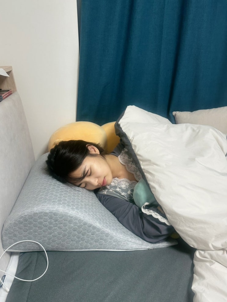  입덧 심한 임산부 입덧베개 추천 프레마망