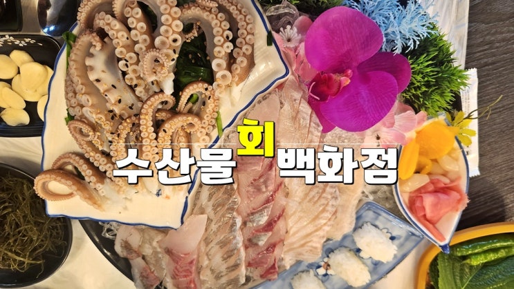 광주 양산동 맛집 · 수산물회백화점 찐 맛있는 횟집 추천 광주 양산동 맛집 · 수산물회백화점 찐 맛있는 횟집 추천