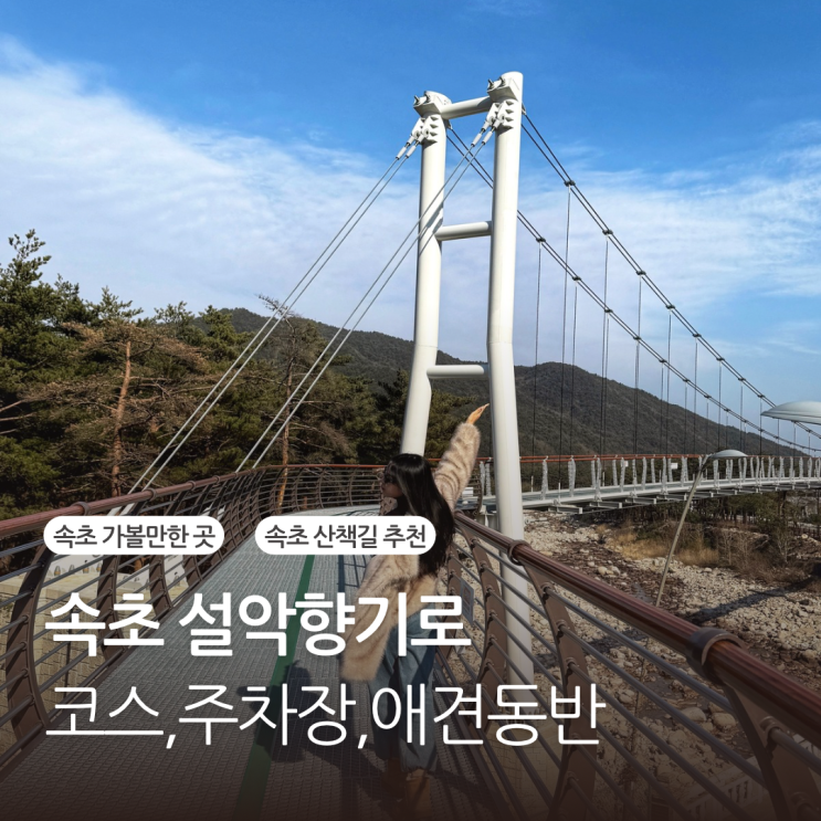  속초 설악향기로 코스 주차장 스카이워크 소요시간 애견동반