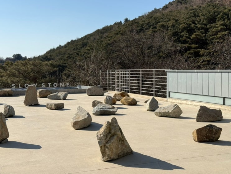 비슬산 근처 카페 현풍 대형 카페 슬로우스톤 비슬산 근처 카페 현풍 대형 카페 슬로우스톤