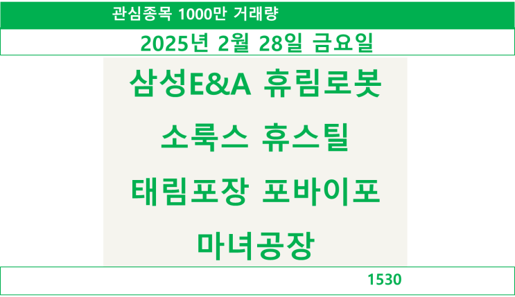  1000만 거래량 관심종목 2025년 2월 28일 금요일