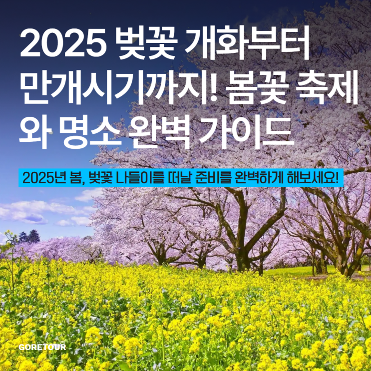  2025 벚꽃 개화부터 만개시기까지! 봄꽃 축제와 명소 완벽 가이드