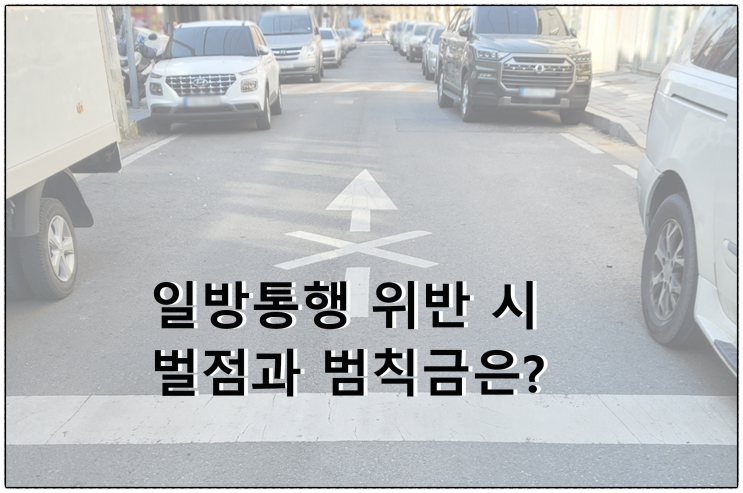  [도로교통법] 운전자라면 한번은 경험하게 되는 일방통행 도로 위반(벌점/범칙금/과태료)