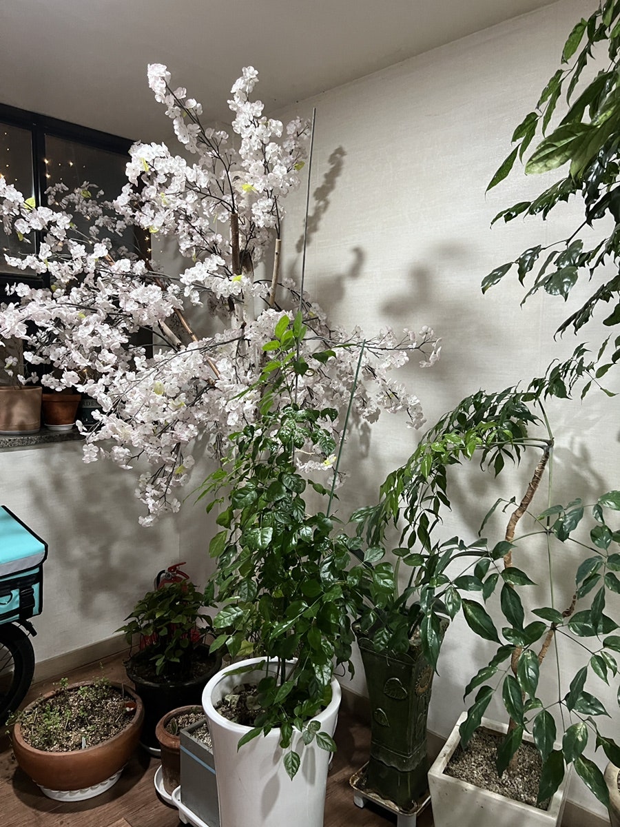 산해들엄마의밥상 사진 4