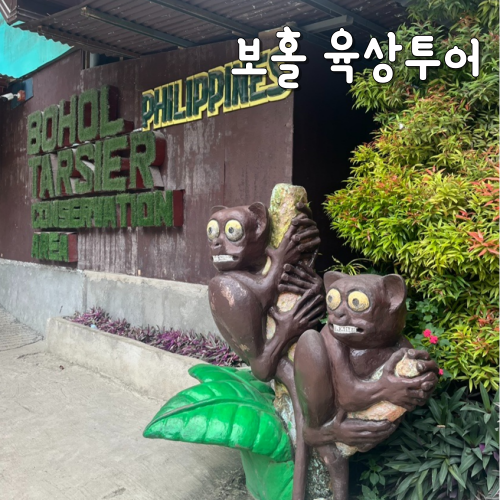  보홀 육상투어 시간 가격 코스 (로복강투어, 안경원숭이, 초콜릿힐, AVT)