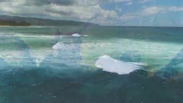  사회복지공무원자격증 , 사회복지사2급 직장인도 학은제로 편하게